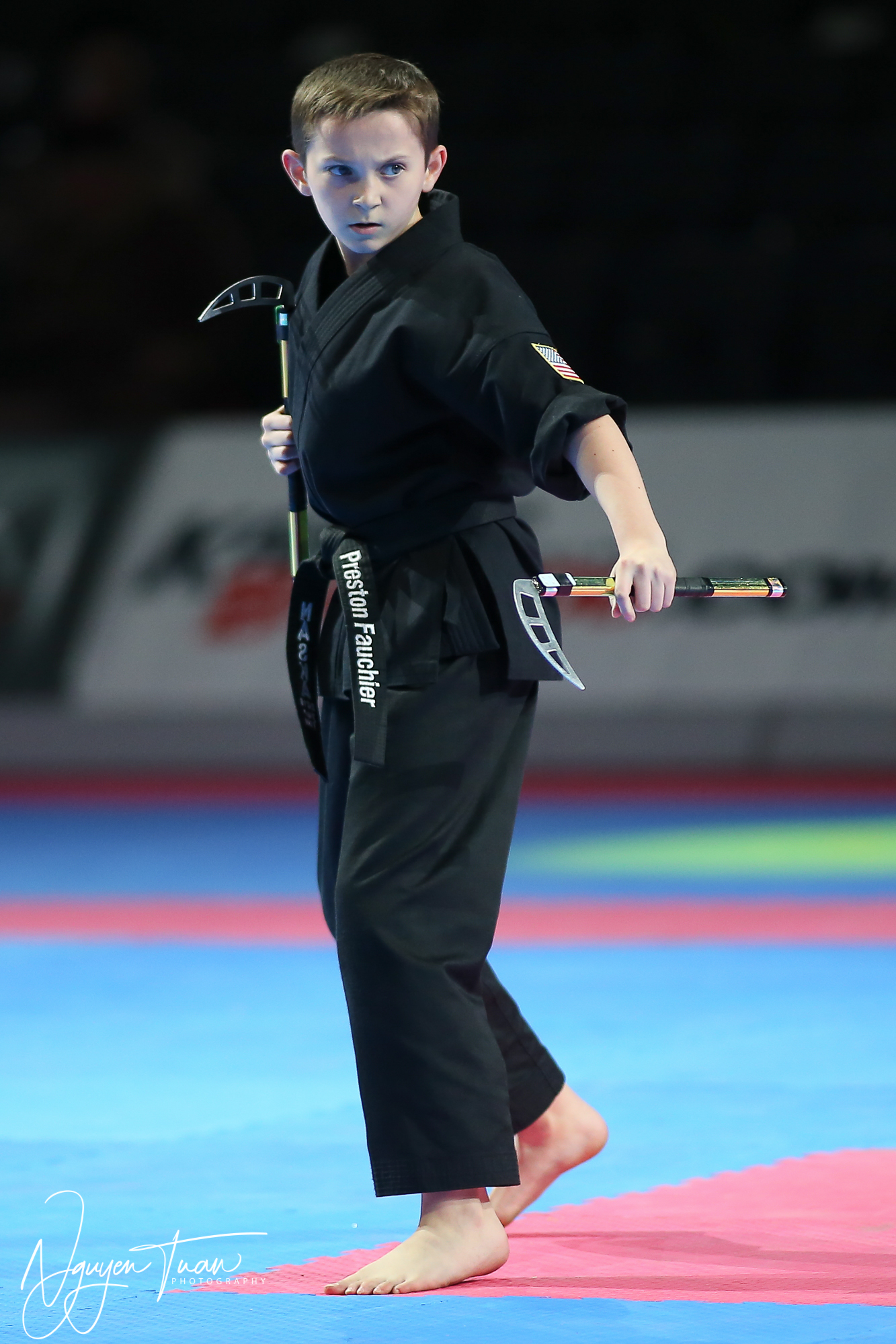 20190324 Festival des Arts Martiaux 0266